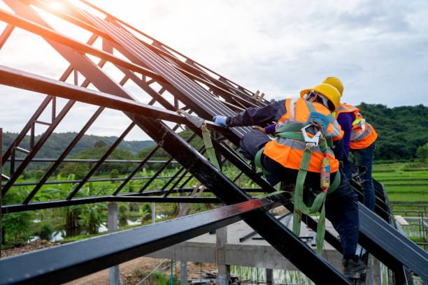 Best Roof Gutter Cleaning  in Oak Grove, KY