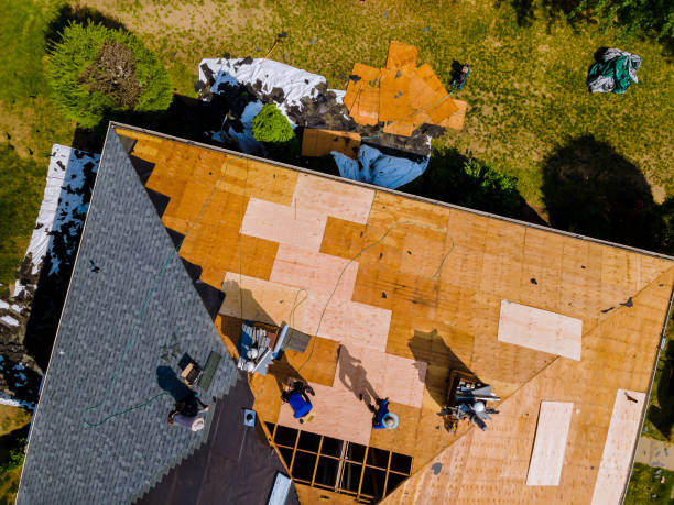 Best Roof Leak Repair  in Oak Grove, KY